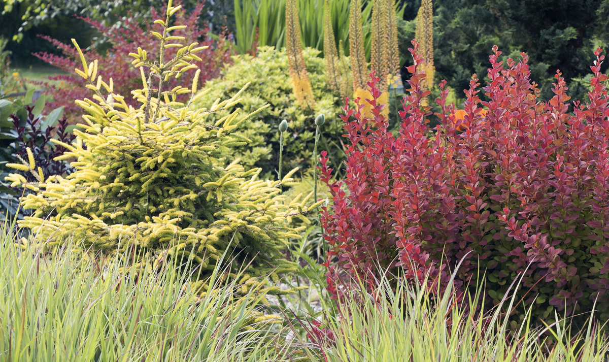 The authors garden Deer-Resistant Design Karen Chapman Fence-Free Gardens that - photo 2