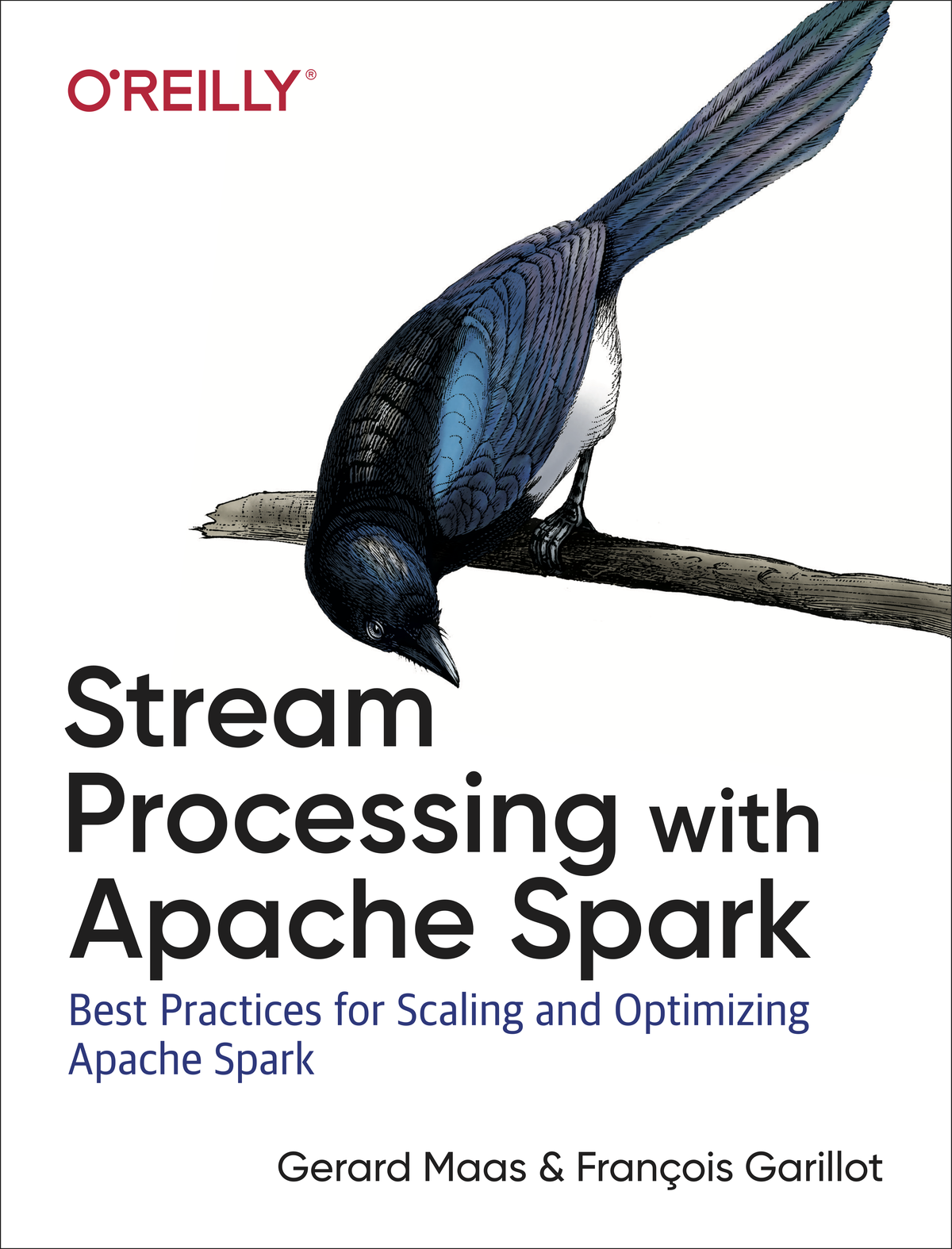 Stream Processing with Apache Spark by Gerard Maas and Franois Garillot - photo 1