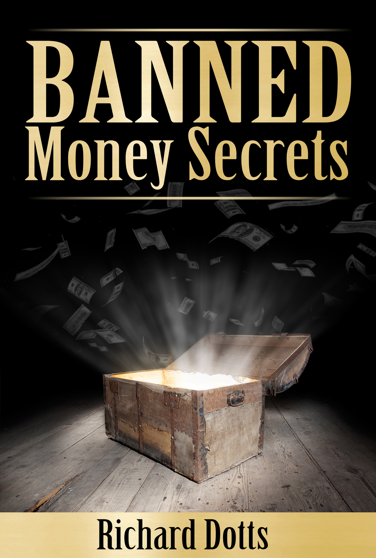 Banned Money Secrets of the Hidden Rich By Richard Dotts Table of Contents - photo 1