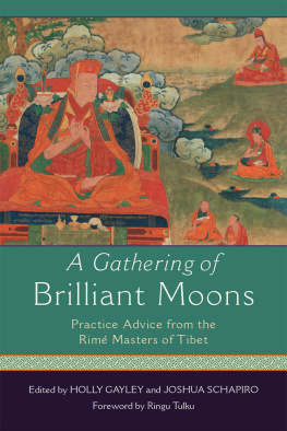 Holly Gayley - A Gathering of Brilliant Moons: Practice Advice from the Rime Masters of Tibet