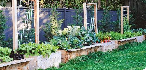 Raised beds can be added to any backyard in a configuration that suits the - photo 8