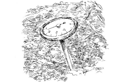 Soil temperature is measured with a soil thermometer at a depth of 3 to 4 - photo 3