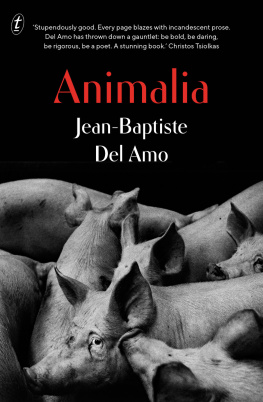 Jean-Baptiste Del Amo - Animalia