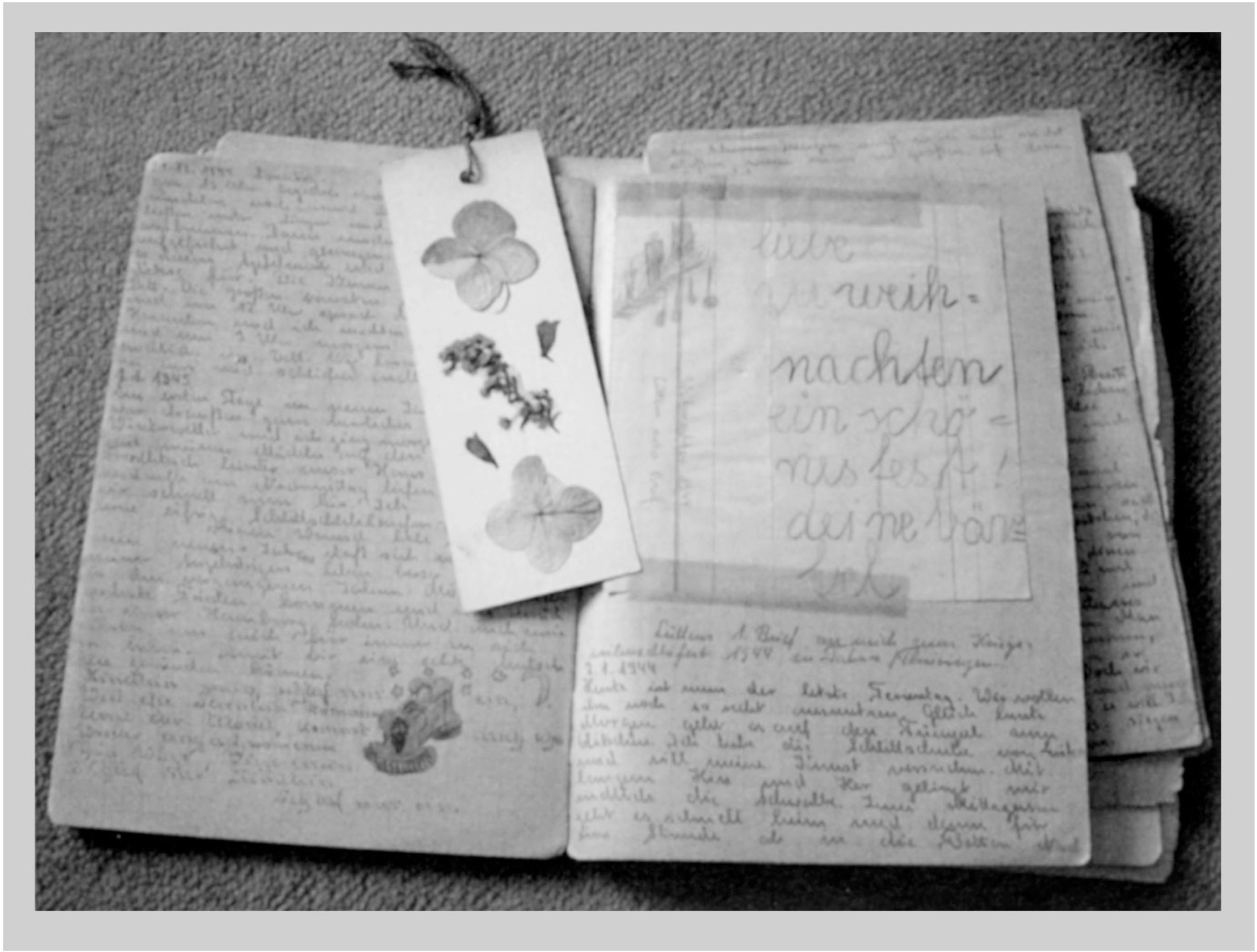 Inside pages of Evas diary showing her entry for what she called their war - photo 11