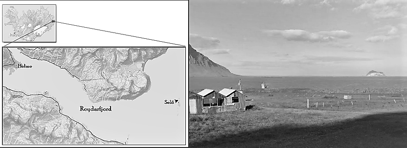 Sel Seley Island map and view from southReydarfjord center right One - photo 1