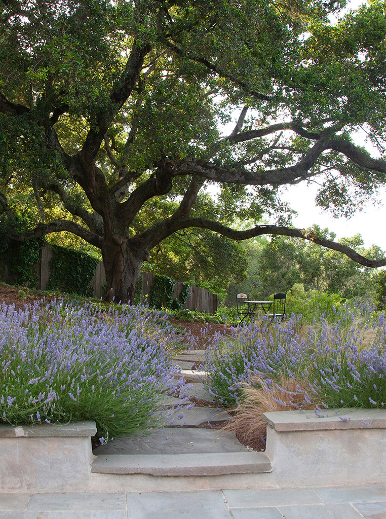 A small deck surrounded by a small garden makes a perfect spot for relaxing - photo 3