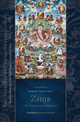 Jamgon Kongtrul Lodro Taye - Zhije: The Pacification of Suffering: Essential Teachings of the Eight Practice Lineages of Tibet, Volume 13 (The Treasury of Precious Instructions)