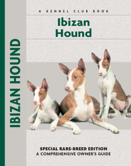 Juliette Cunliffe Ibizan Hound