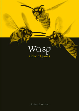 Richard Jones - Wasp