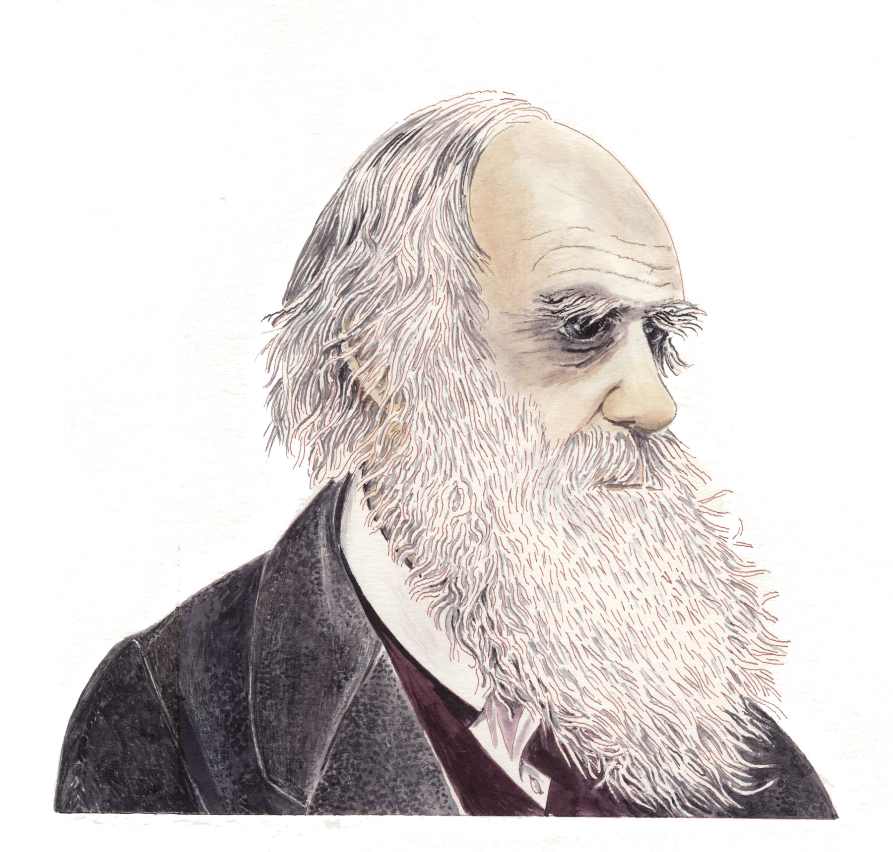 Y oull be seeing a lot of Charles Darwin in this book Hes credited with the - photo 8