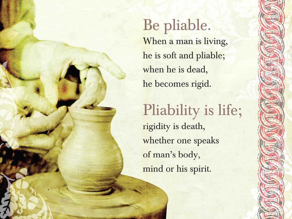 Be pliable When a man is living he is soft and pliable when he is - photo 10