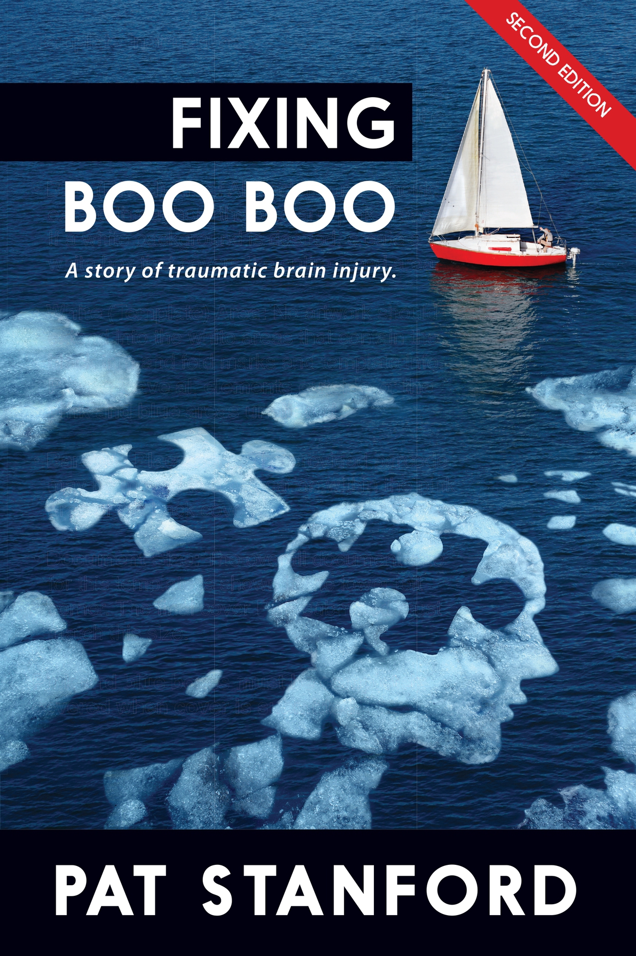 Fixing Boo Boo A Story of Traumatic Brain Injury Pat Stanford Published - photo 1