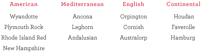 SELECTED BREEDS BY SPECIALTY SELECTED BREEDS BY TEMPERAMENT - photo 3