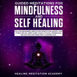 Healing Meditation Academy - Guided Meditations for Mindfulness and Self Healing Follow Beginners Meditation Scripts for Anxiety and Stress Relief