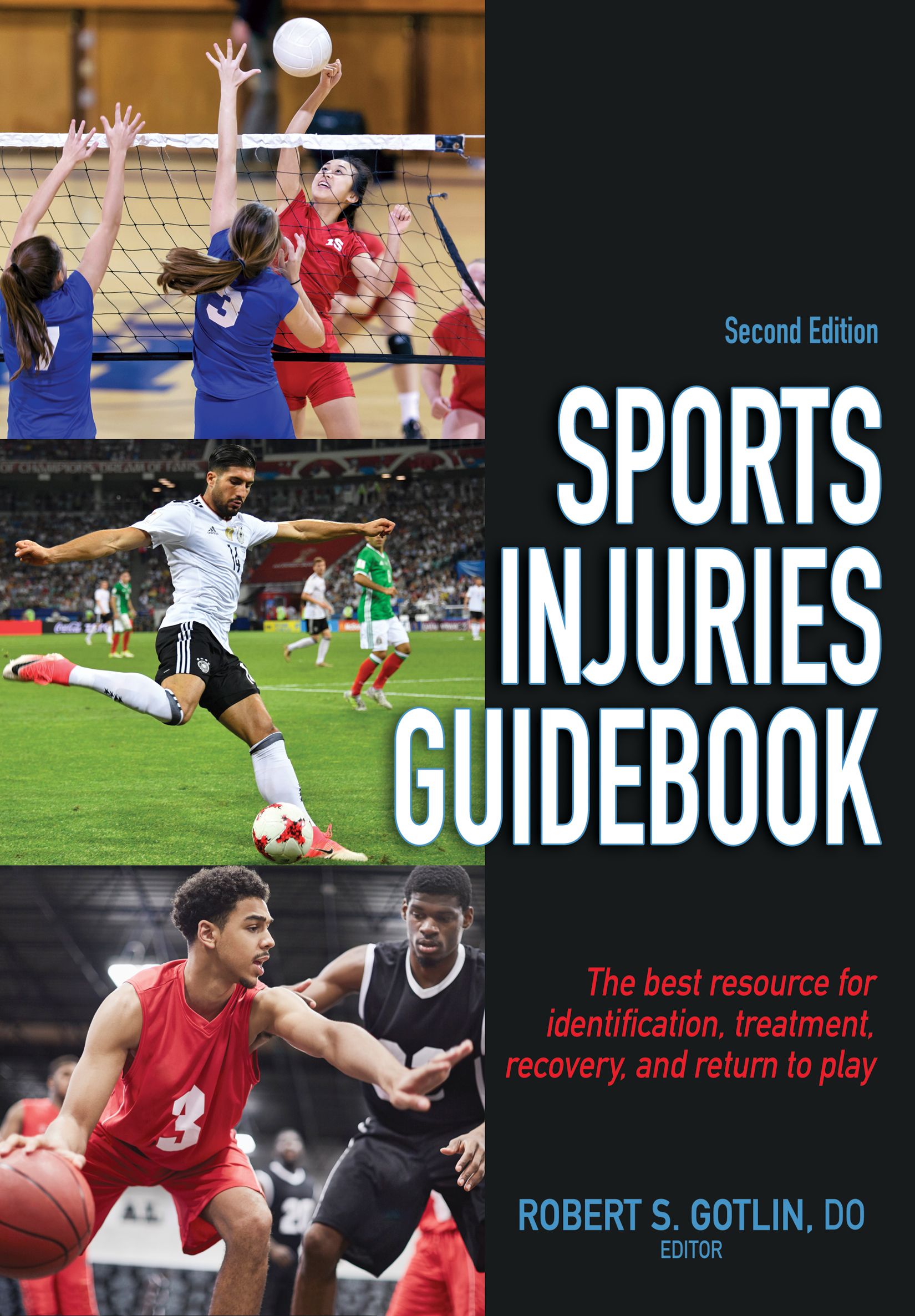 Sports Injuries Guidebook Second Edition Robert S Gotlin DO EDITOR - photo 1