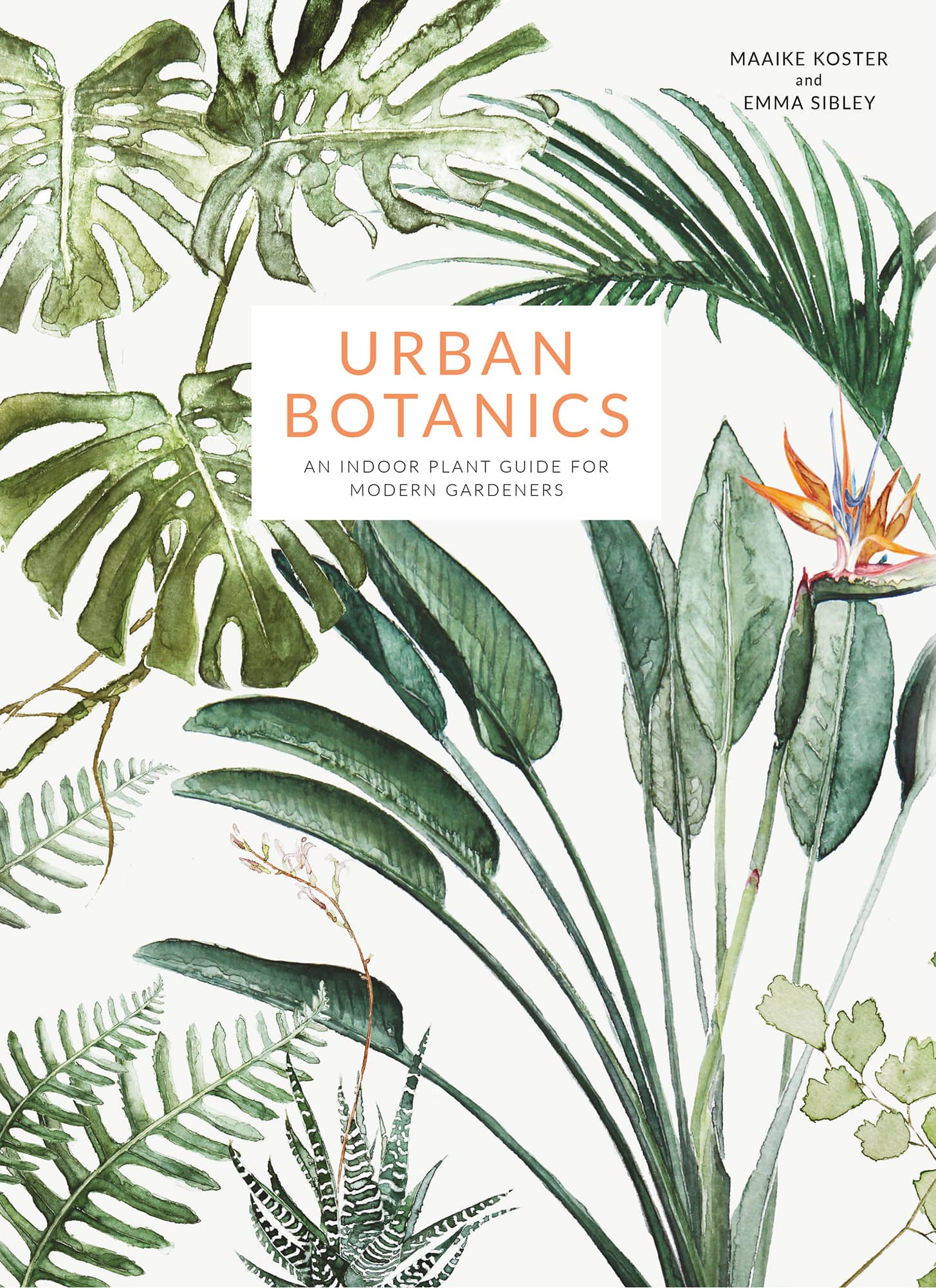 URBAN BOTANICS AN INDOOR PLANT GUIDE FOR MODERN GARDENERS MAAIKE KOSTER and - photo 1