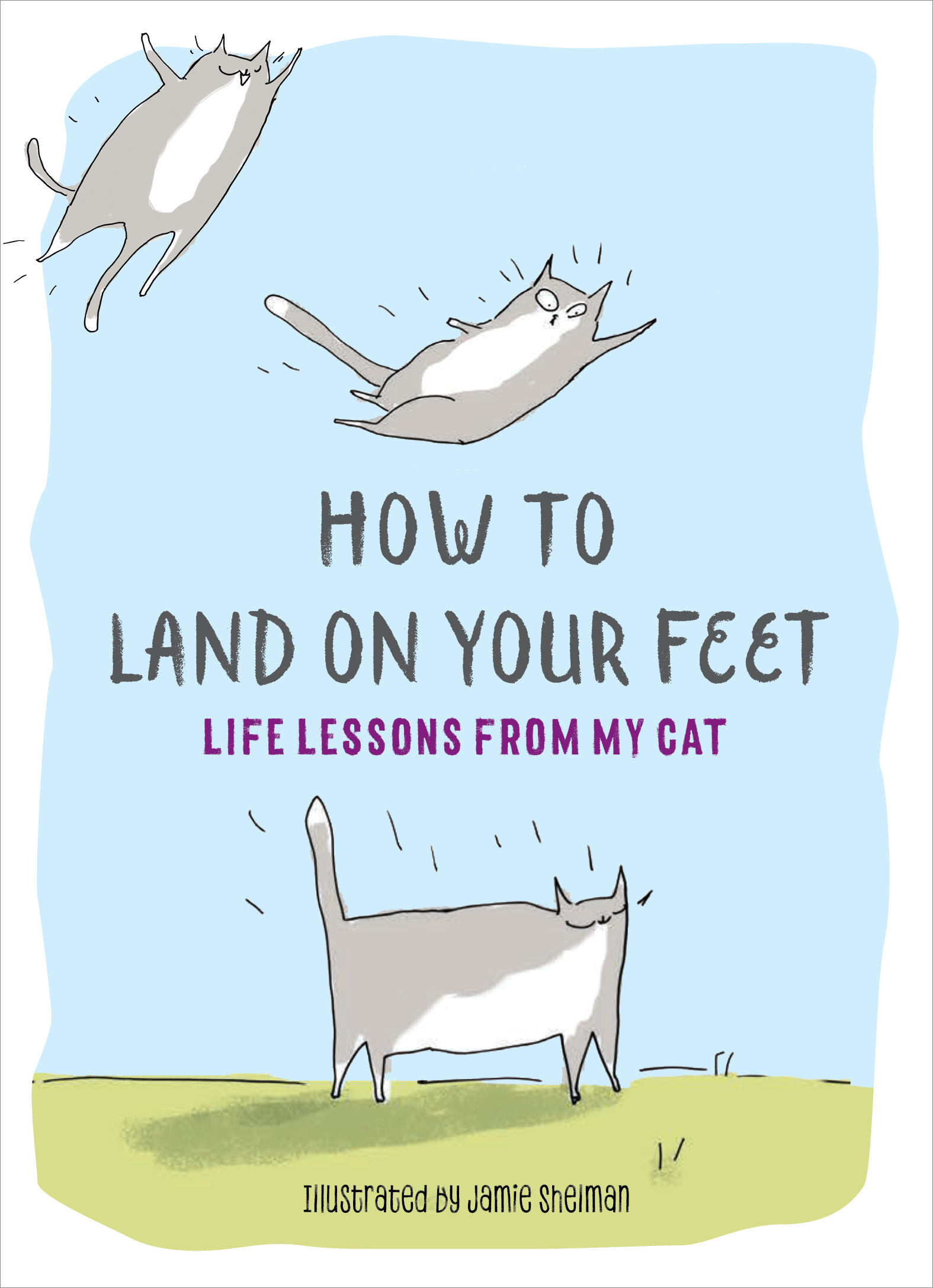 HOW TO LAND ON YOUR FEET Life Lessons from My Cat Illustrations copyright - photo 1