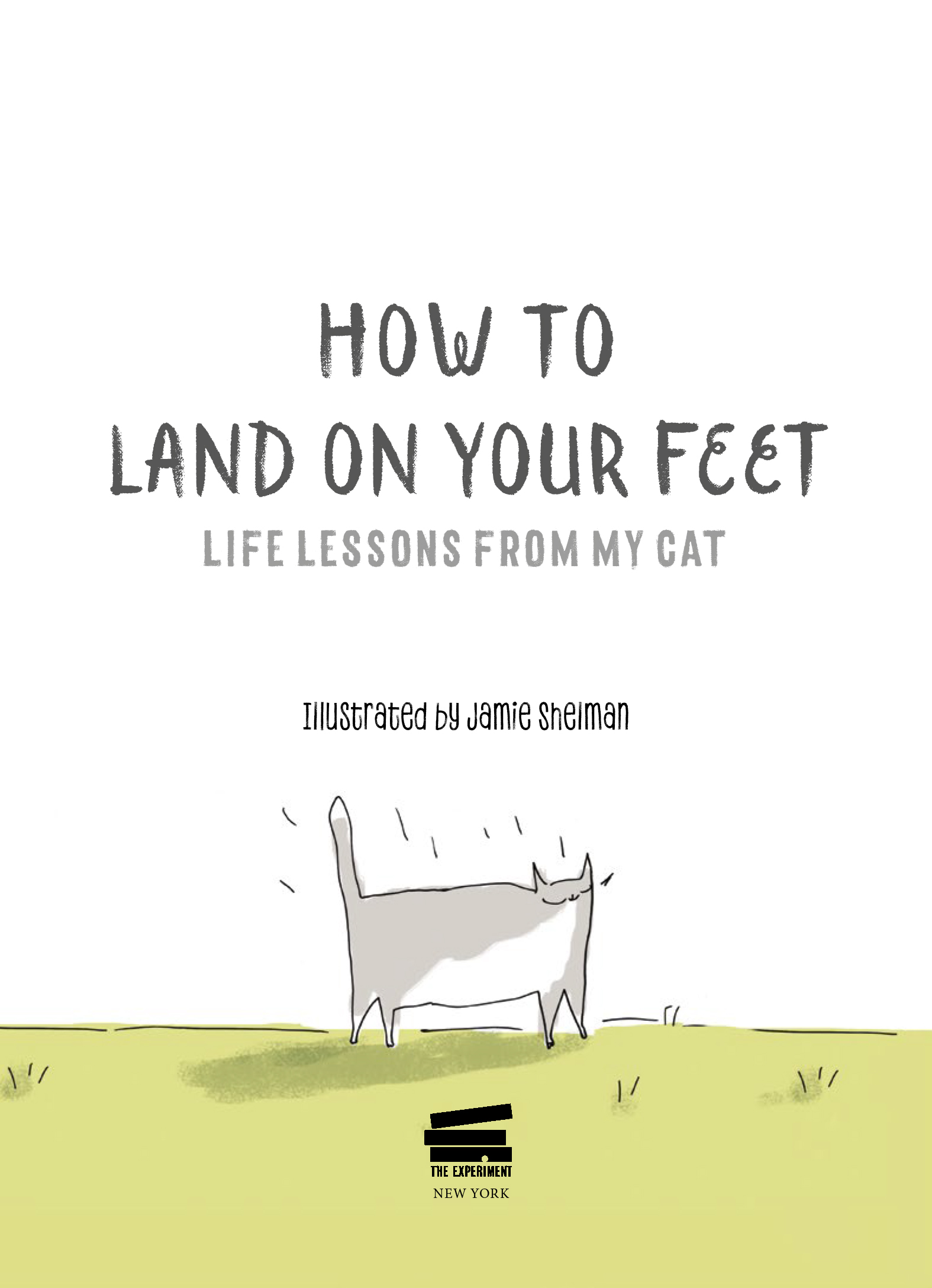 HOW TO LAND ON YOUR FEET Life Lessons from My Cat Illustrations copyright - photo 2