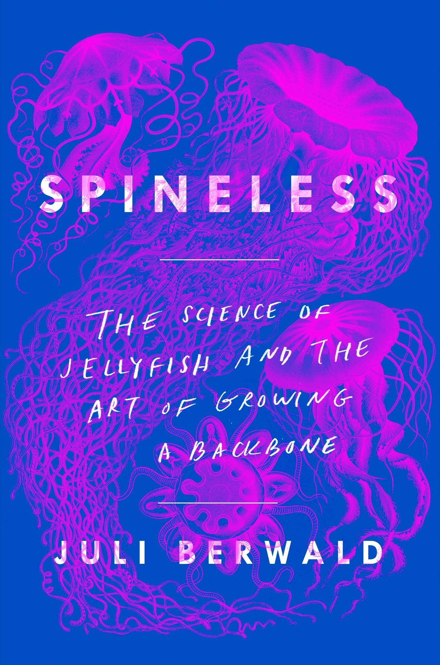 Spineless the science of jellyfish and the art of growing a backbone - image 1