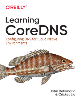 John Belamaric Learning Coredns: Configuring DNS for Cloud Native Environments