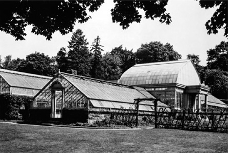 The glasshouses as they were during the Perkins residency at Wave Hill only - photo 11