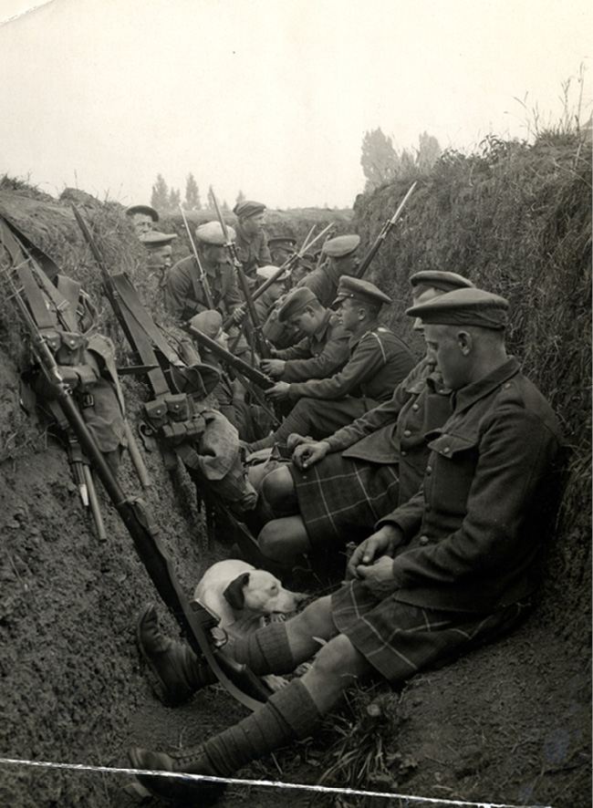 The Highland Territorials Interesting facts At the start of the war many of - photo 2