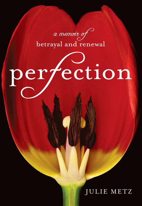 Perfection a memoir of betrayal and renewal - image 1