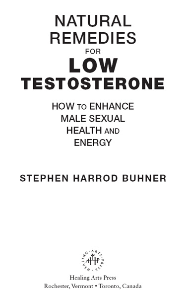Natural remedies for low testosterone how to enhance male sexual health and energy - image 1