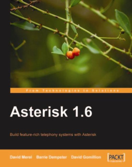 Gomillion David Dempster Barrie Merel David - Asterisk 1.6: build feature-rich telephony systems with Asterisk. - Description based on resource description page