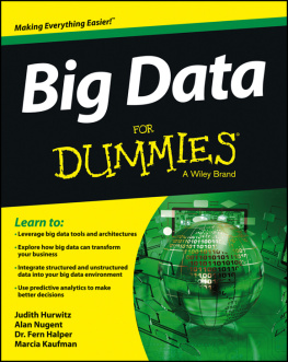 Kaufman Marcia - Big Data for Dummies: a Wiley Brand