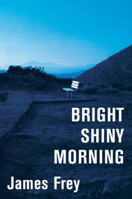 James Frey Bright Shiny Morning