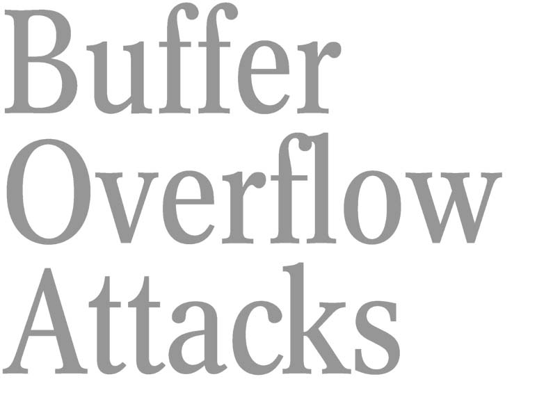 316BuffOflowFMqxd 122804 545 PM Page iii Buffer Overflow Attacks D E T E - photo 10