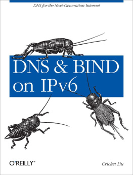 Liu - DNS and BIND on IPv6
