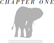 To see the elephant US slang to get experience of life to gain knowledge - photo 4
