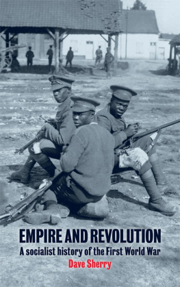 Dave Sherry - Empire and Revolution: A Socialist History of the First World War
