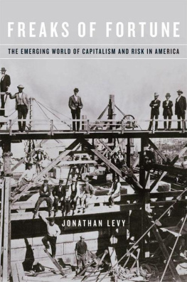 Levy - Freaks of Fortune: The Emerging World of Capitalism and Risk in America