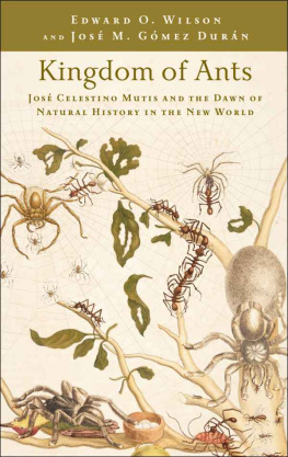 Mutis José Celestino Kingdom of ants: José Celestino Mutis and the dawn of natural history in the New World