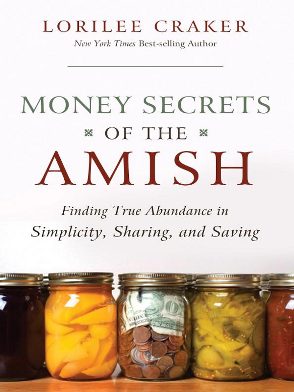 PRAISE FOR Money Secrets of the Amish Packed with practical simple and - photo 1