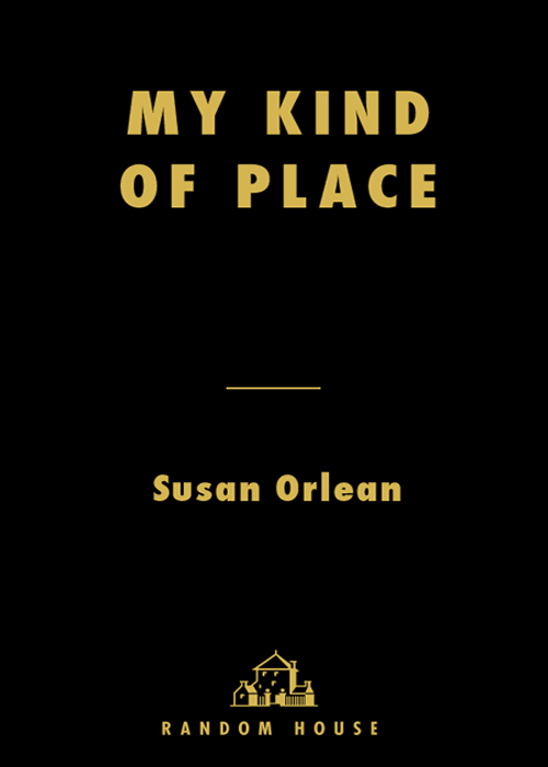 Susan Orlean MY KIND OF PLACE Travel Stories from a Woman Whos Been Everywhere - photo 1