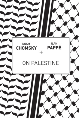 Noam Chomsky - On Palestine