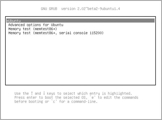 Figure 1-2 A typical GRUB version 2 boot menu The Advanced menu see Figure - photo 2