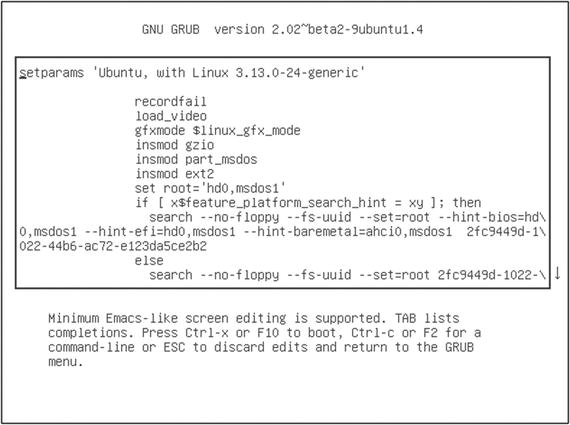 Figure 1-4 A GRUB boot parameters page accessed by hitting e while an item is - photo 4