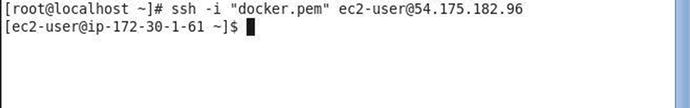 Figure 1-4 Connecting to RHEL Instance Run the following command to find if - photo 4