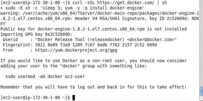 Figure 1-6 Installing Docker Engine Before starting the Docker service you - photo 6