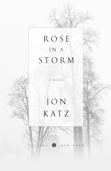 Rose in a Storm is a work of fiction Names characters places and incidents - photo 1