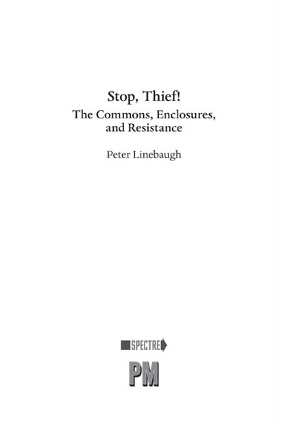 Stop Thief The Commons Enclosures and Resistance - image 1