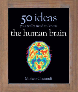 Moheb Costandi - 50 Human Brain Ideas You Really Need to Know