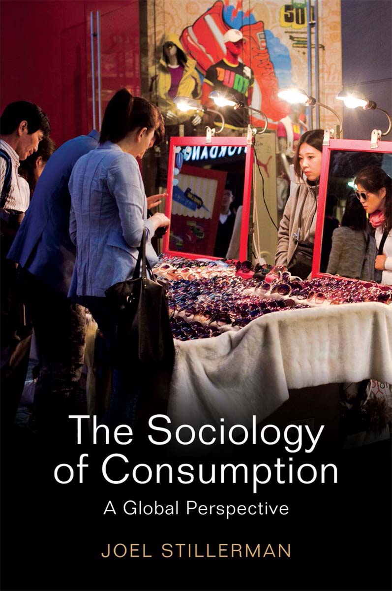 The Sociology of Consumption A Global Approach Joel Stillerman polity - photo 1