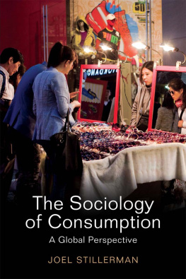 Stillerman Joel The Sociology of Consumption: a Global Approach