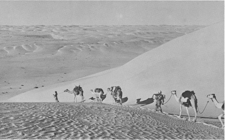 4 The Empty Quarter descending a great dune 5 Wind-towers on a house - photo 4